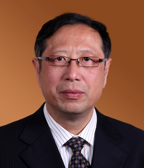 陶小马 陶小马
