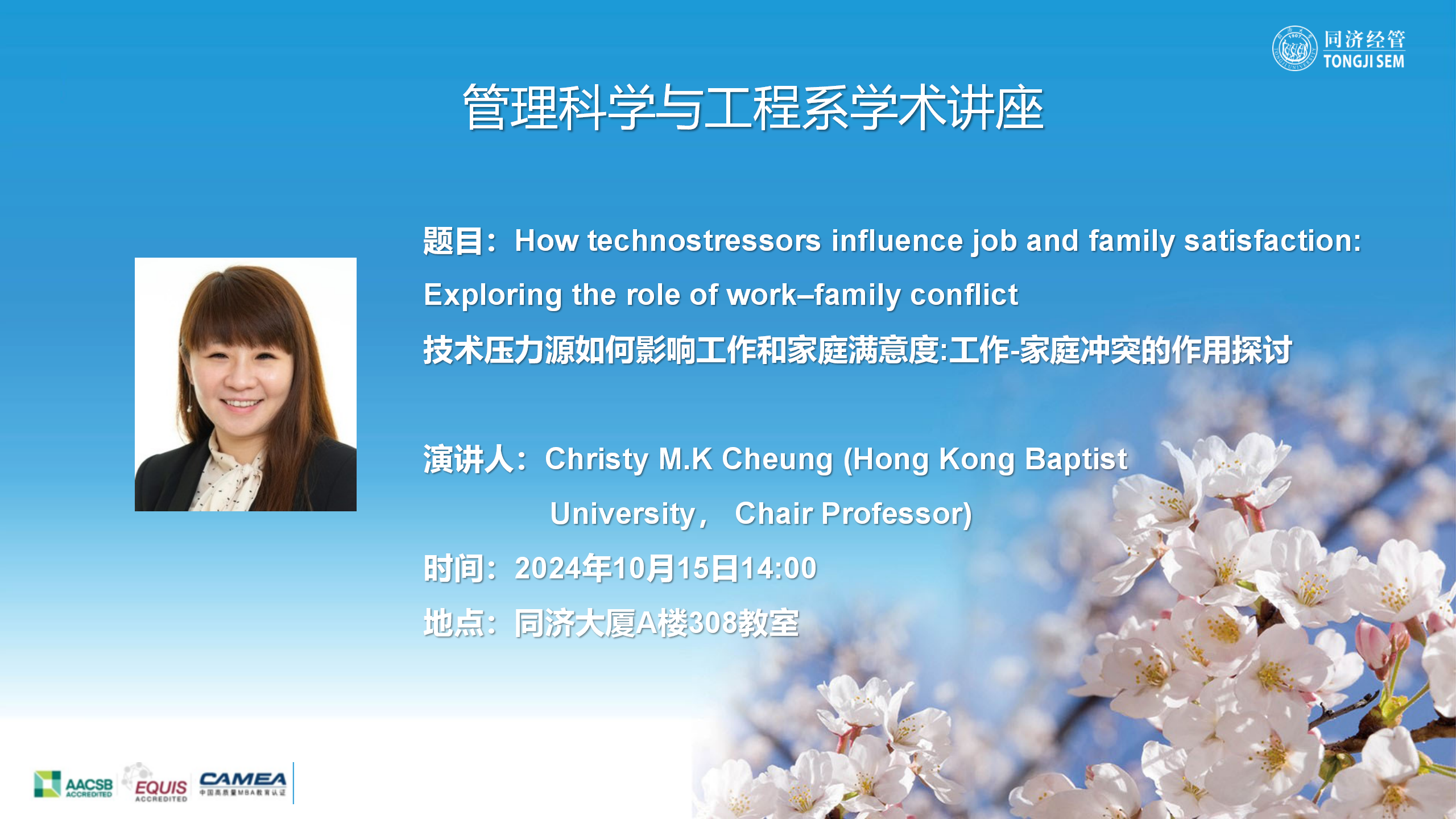 How technostressors influence job and family satisfaction: Exploring the role of work–family conflict