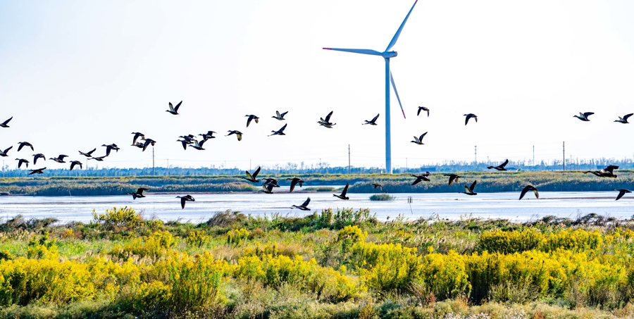 SHAO SHUAI & XU LE: Enhancing the vitality of China’s national emissions market would help realize the country’s dual environmental goals